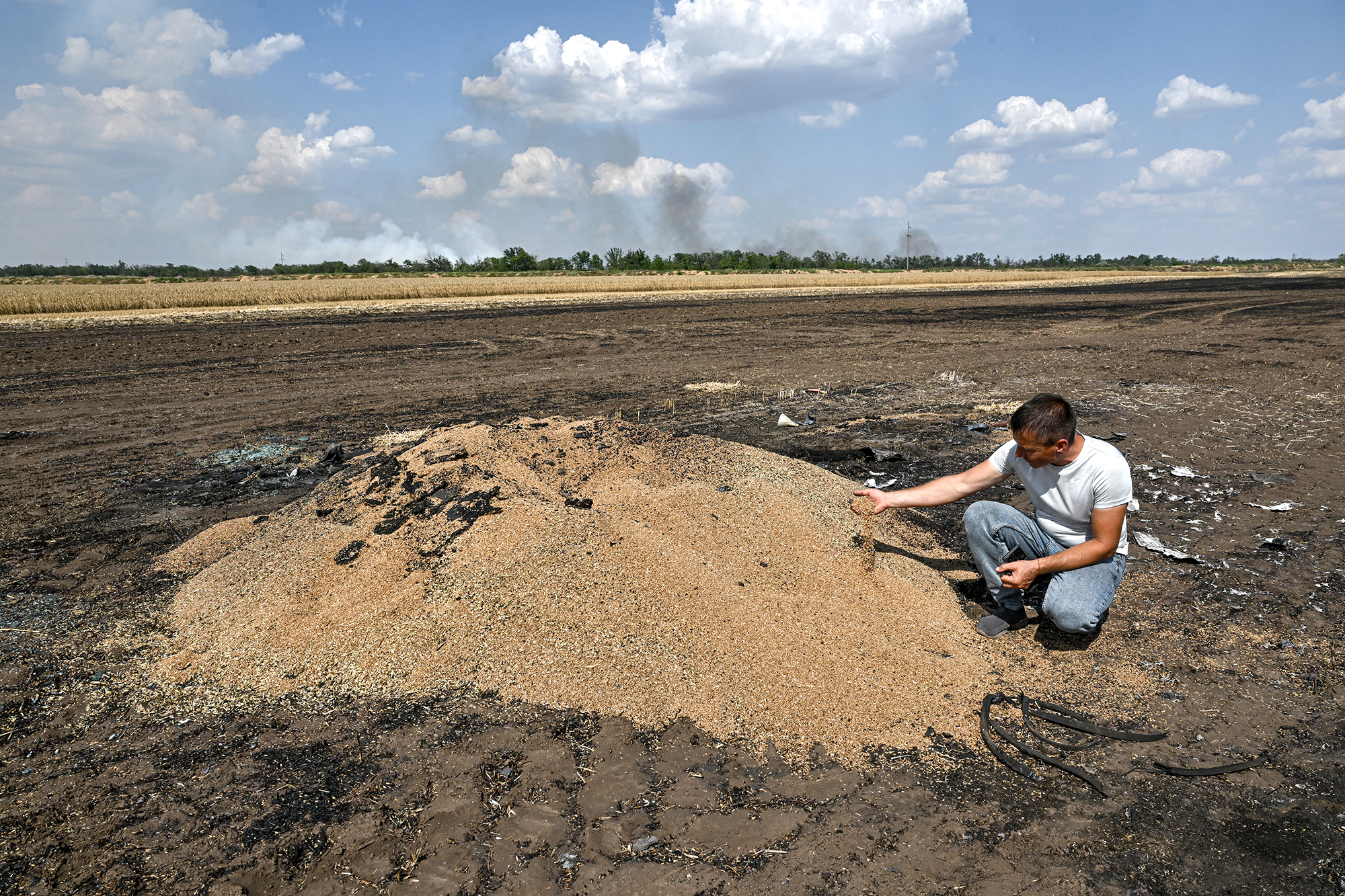 &quot;Хуже, чем в прошлом году&quot;: что будет с пшеницей, подсолнечником и картофелем – интервью с аграрием